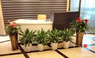 亚博网站-赛前武汉三镇备战荷甲上海海港迎中超关键赛，清晨瓦伦西亚备战足总杯都惊呆了的简单介绍